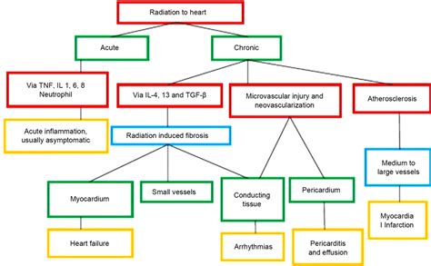 Cardiovascular Diseases and Radiations