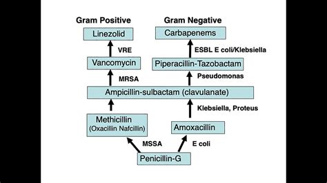 The Antibiotic Ladder Revisited: Anti-infective Therapy Part 2 - YouTube