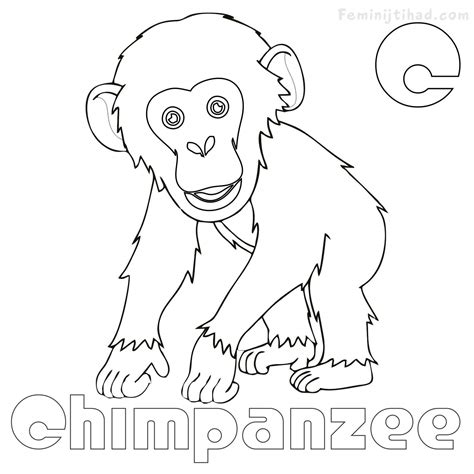 Chimpanzee Coloring Page at GetColorings.com | Free printable colorings pages to print and color