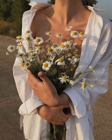 Daisies | Aesthetic pictures, Flower aesthetic, Classy aesthetic