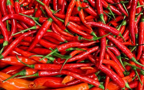 Wellhealthorganic.Com:Red-Chilli-You-Should-Know-About-Red-Chilli-Uses-Benefits-Side-Effects ...