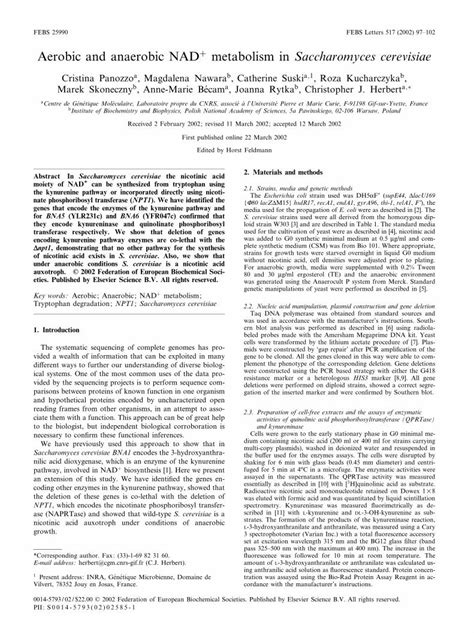 (PDF) Aerobic and anaerobic NAD+ metabolism in Saccharomyces cerevisiae - DOKUMEN.TIPS