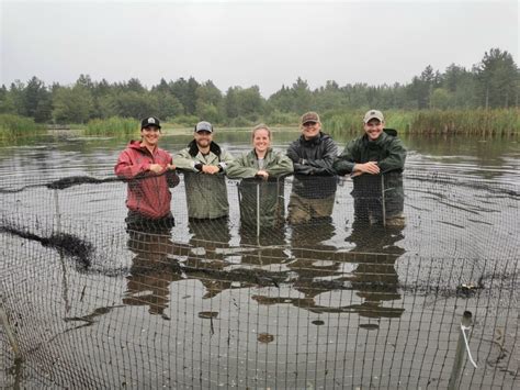 Maritime College of Forest Technology | Fish & Wildlife Technology