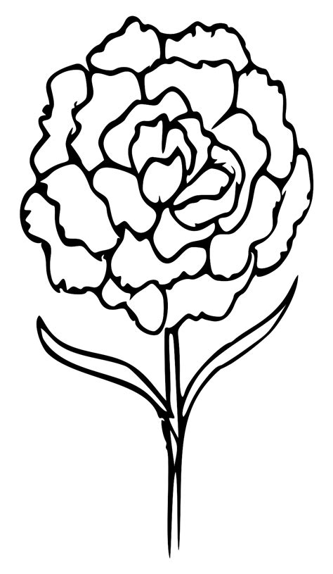 Download Flower Line Art SVG | FreePNGImg