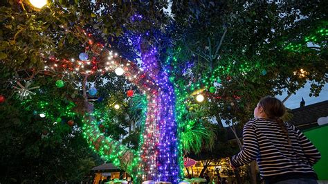 6 best zoo light events in the U.S. - Tripadvisor