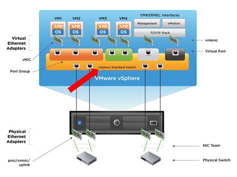 Network Port Vlan at Donald Rogers blog