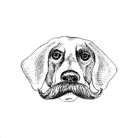 Vector image of an Dog black and white. design style. animal. art ...