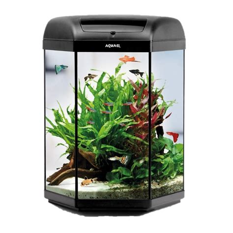 Aquarium Fish Tank PNG Transparent Images | PNG All