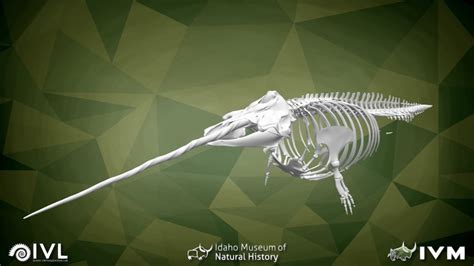 UAM 3380 Narwhal - 3D model by Idaho Virtualization Laboratory ...