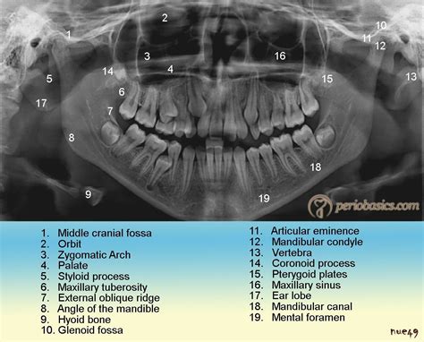 Pin on Dental Care Interior