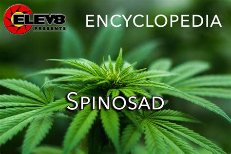 Spinosad – Elev8 Presents