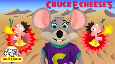 Over 20 minutes of Fun Facts! | All Fun Facts with Chuck E. Cheese Episodes - YouTube