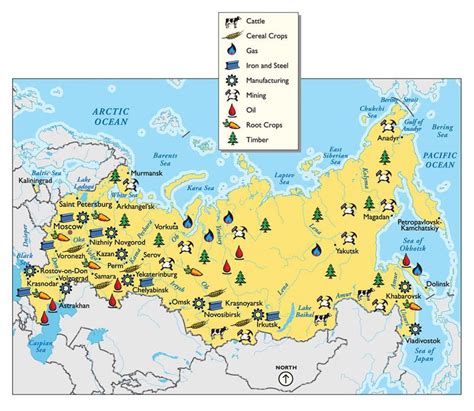 Natural Resources Map Of Russia