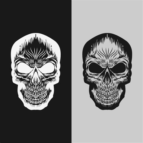 vector illustration of isolated human skull with shading details 12867472 Vector Art at Vecteezy