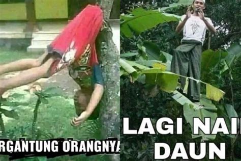 10 Meme Lucu Bikin Ngakak, Sempat Tak Terpikirkan Sebelumnya