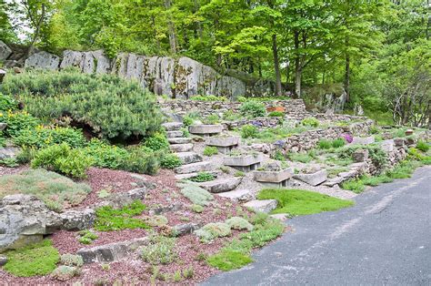 12 Hillside Landscaping Ideas to Maximize Your Yard