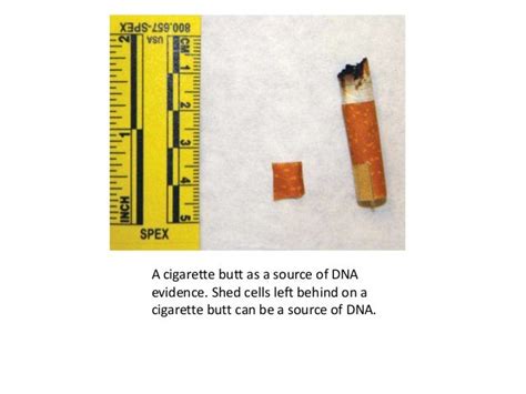 Sample collection and preservation of biological samples