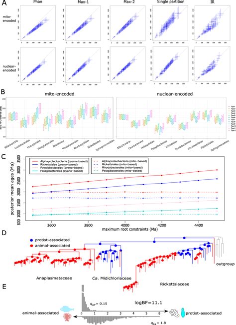 Comparison of the estimated times with alternative dating strategies... | Download Scientific ...