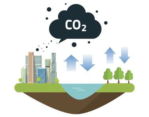 Carbon Cycle Diagram | LoveToKnow