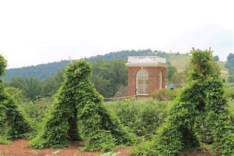 Monticello Garden | Veggie garden, Garden, Monticello