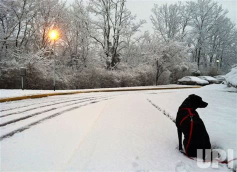 Photo: Washington D.C. Snow Storm - WAP20130325309 - UPI.com