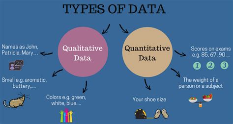 Qualitative vs Quantitative Data: Analysis, Definitions, Examples