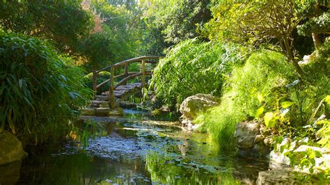 Zilker Botanical Garden in Austin, Texas | Expedia