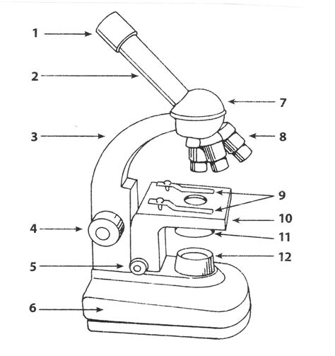 Parts Of Microscope Worksheet