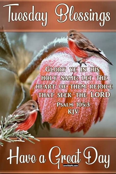 Glory In His Holy Name. Tuesday Blessings bible verse blessings tuesday tuesday blessings good ...