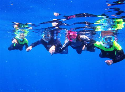 Marine Leisure & Activity: Blue Cave Boat Snorkeling | Snowball ...