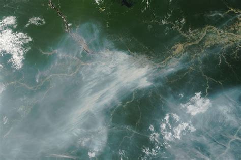 Drought Fuels Wildfires in the Amazon