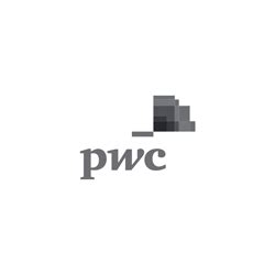 Pwc Logo Vector at Vectorified.com | Collection of Pwc Logo Vector free ...