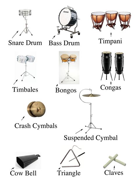 42 best ideas for coloring | Percussion Instruments List With Pictures