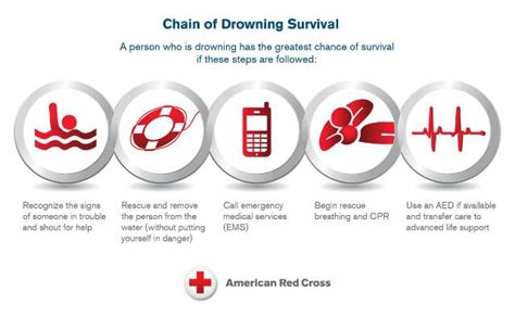 Chain of Survival Cpr