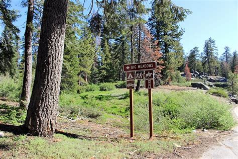 6 Best Campgrounds in Sequoia National Park | PlanetWare