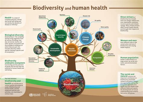 Biodiversity and Infectious Diseases: Questions and Answers ...