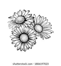 Daisy Flower Drawing Tattoo