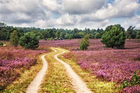 The most scenic road trips in Germany | loveexploring.com