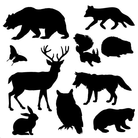 Zvířata v lese Stock Fotka zdarma - Public Domain Pictures