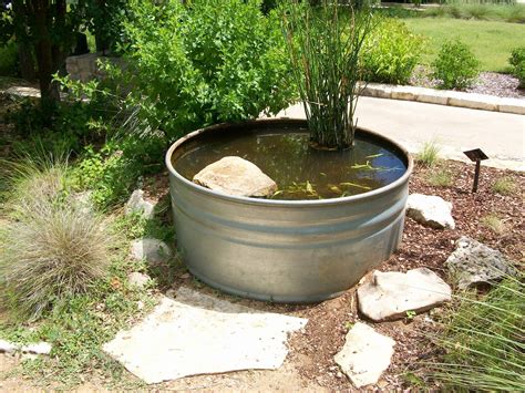 Window on a Texas Wildscape: Stock tank pond ponderings...