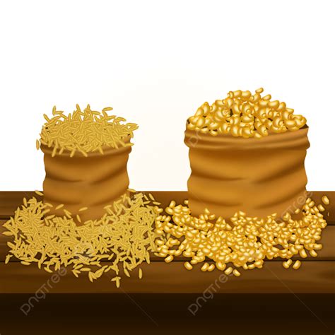 Paddy And Yellow Corn Harvest Products, Harvest Product, Paddy, Corn PNG Transparent Clipart ...