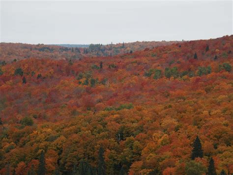 Photo gallery: Fall color arrives in northern Minnesota | MPR News