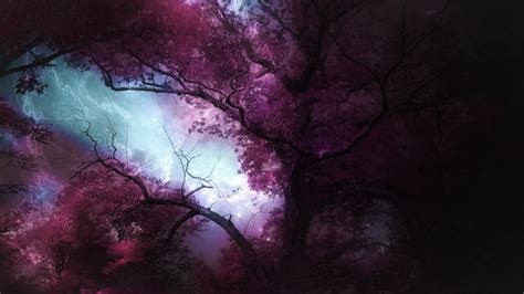 Download Purple Fantasy Forest HD Wallpaper