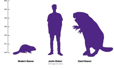 Why did giant beavers go extinct? It was their diet, researchers say – Eye on the Arctic