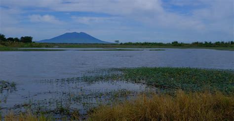 Agricultural Wetlands as a Showcase for Wetlands Conservation – The Society for the Conservation ...