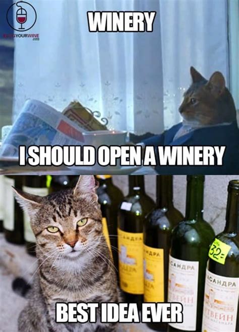 Funny wine meme | Blog Your Wine