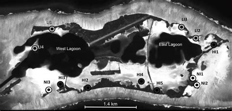 Map of Palmyra Atoll showing 12 study sites named after their ...