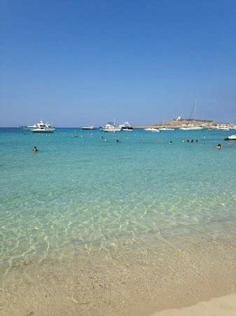 Armier Bay Beach (Mellieha) - 2021 All You Need to Know Before You Go (with Photos) - Mellieha ...