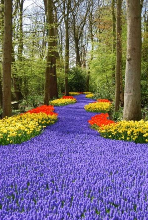 Last Pinner:Keukenhof Gardens, Amsterdam. Photo by Dale G. // If you love flowers you won't ...