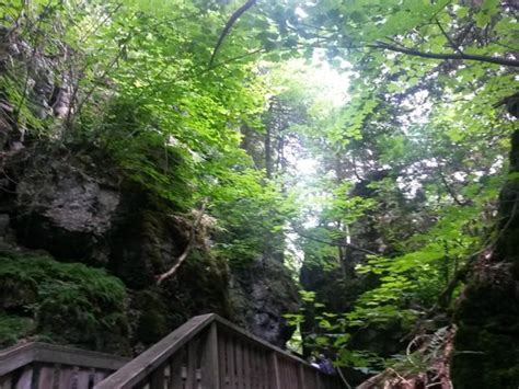 Mono Cliffs Provincial Park (Orangeville) - 2020 All You Need to Know BEFORE You Go (with Photos ...